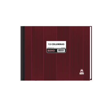 LIBRO 12 COLUMNAS 100 HJS...