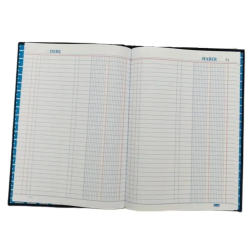 LIBRO DIARIO 100 HJS REM...