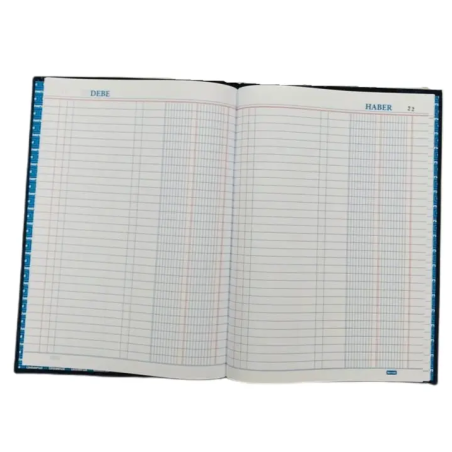 LIBRO DIARIO 100 HJS REM...