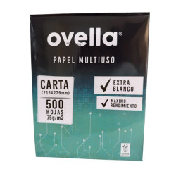 CAJA 10 UNIDES RESMA DE...