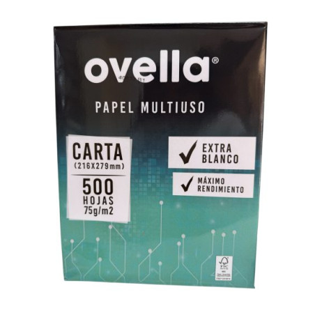 CAJA 10 UNIDES RESMA DE...