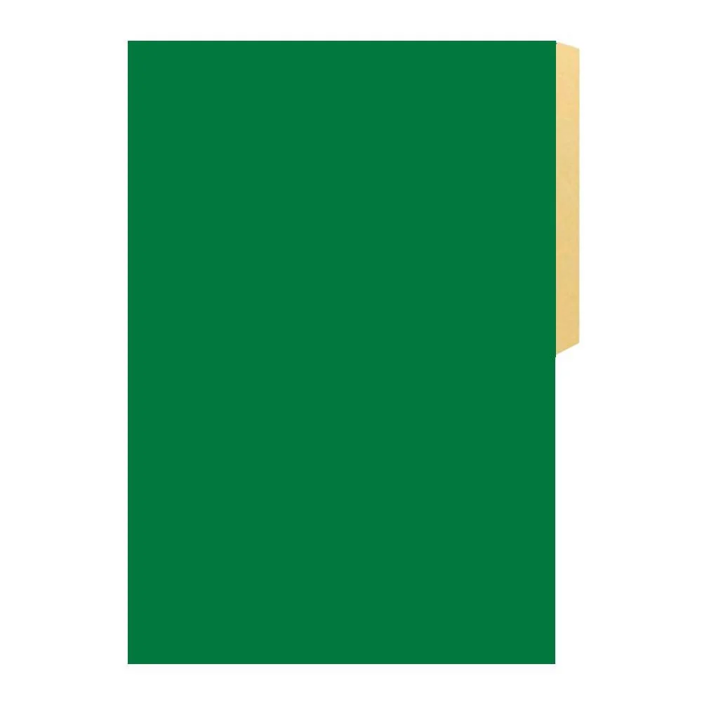 CARPETA CARTULINA PIG. VERDE OSCURO BUHO 1510i