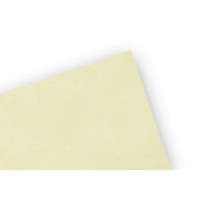 CARTULINA OPALINA OFICIO GOFRADA IVORY 200 GRS 125 UND