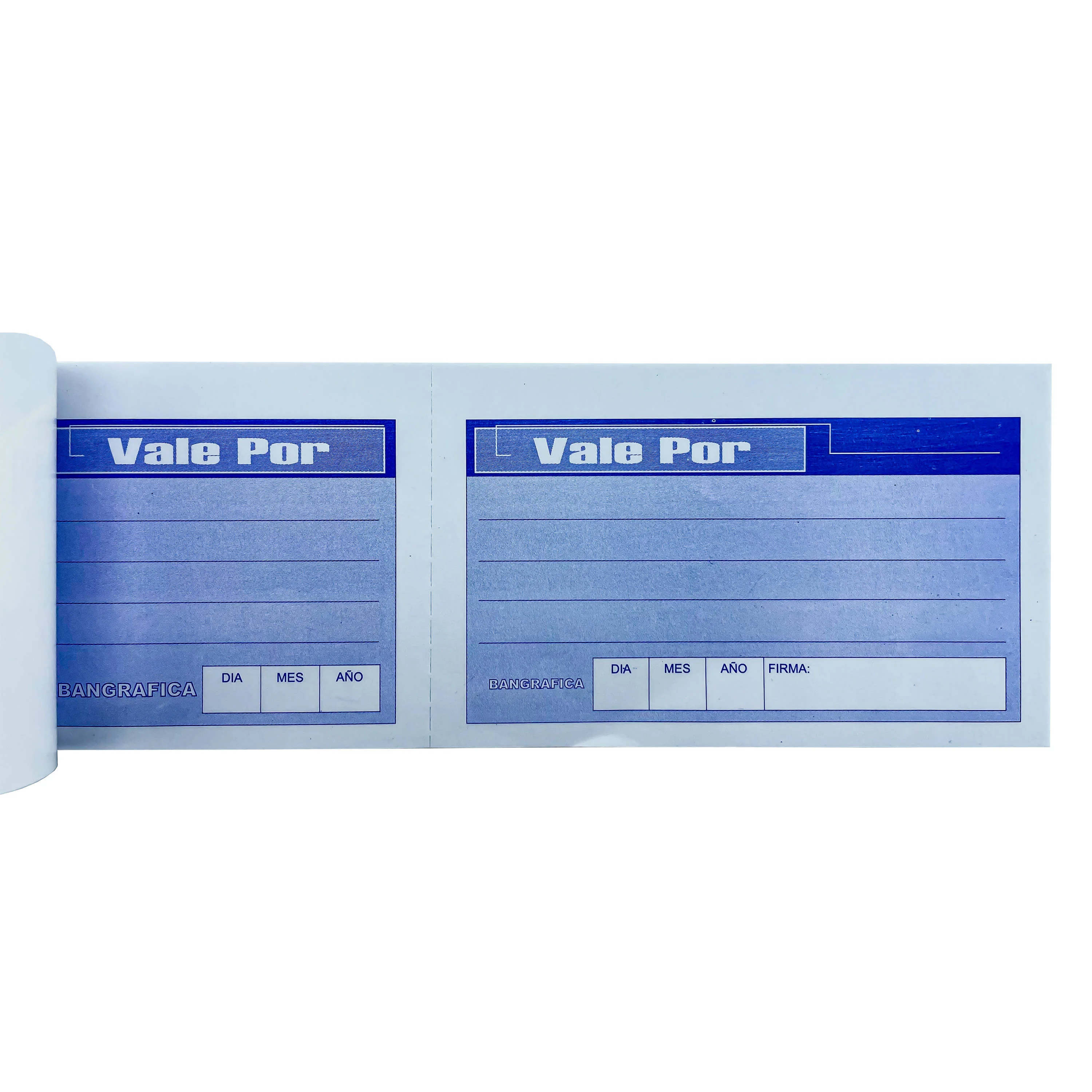 VALE POR 100 HJS BANGRAFICA CON FOLIO 100501