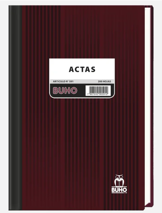 LIBRO ACTAS 200 HJS ART 591 BUHO FOLIADO