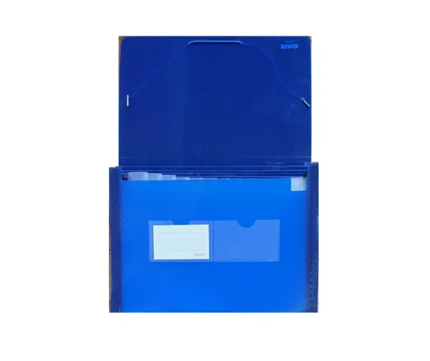 CARPETA PLASTICA FUELLE CARTA 13 DIVISIONES 32119 BUHOi