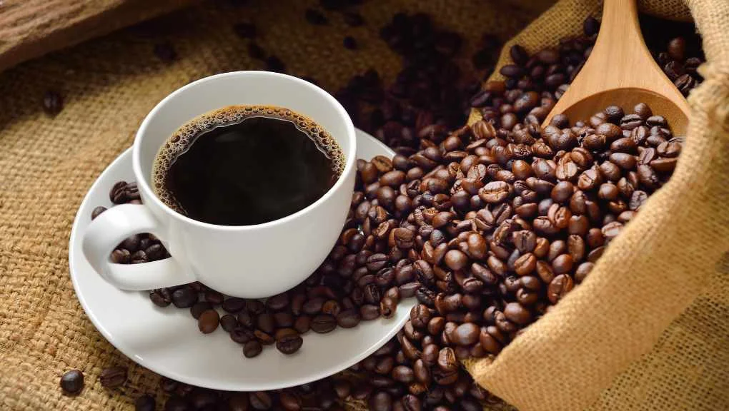 CAFE 250GR GRANO MEZCLA HAITI (VERDE)
