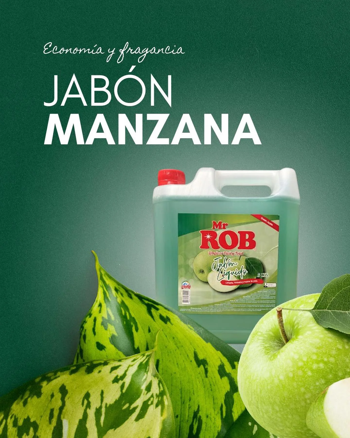 JABON LIQUIDO 5LT MANZANA MR ROB