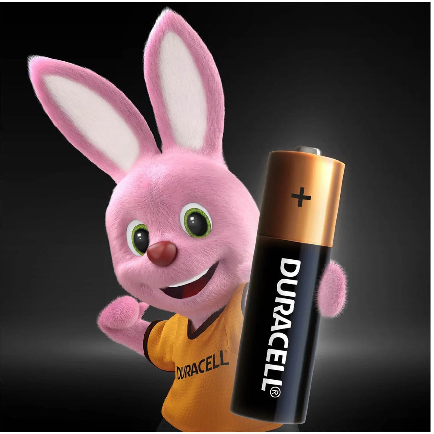 PILA AA UND DURACELL
