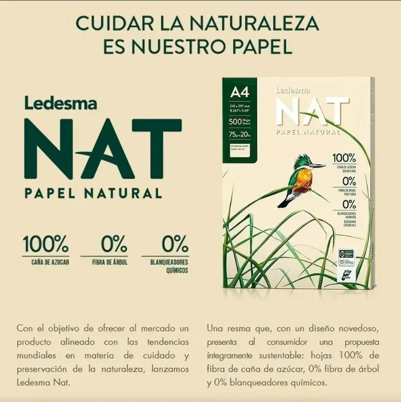RESMA DE PAPEL CARTA ECOLOGICO RECICLADO 75GR LEDESMA CAÑA AZUCAR